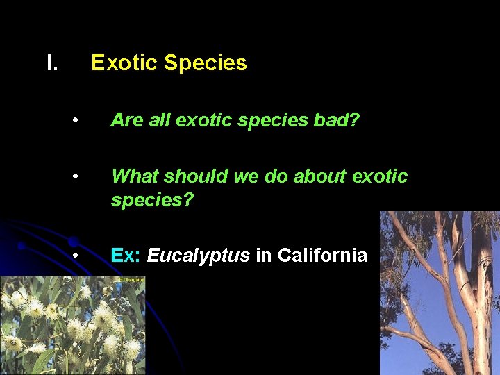 I. Exotic Species • Are all exotic species bad? • What should we do