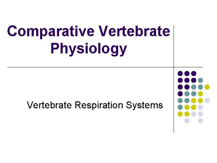Comparative Vertebrate Physiology Vertebrate Respiration Systems 
