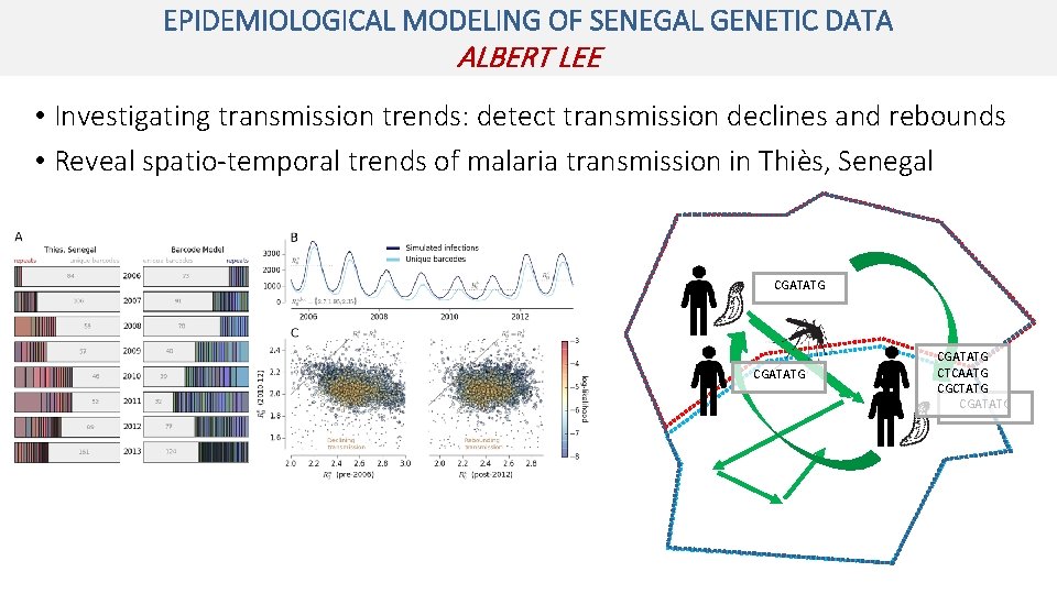 EPIDEMIOLOGICAL MODELING OF SENEGAL GENETIC DATA ALBERT LEE • Investigating transmission trends: detect transmission