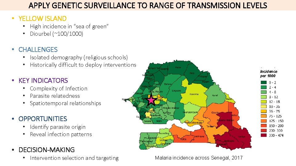 APPLY GENETIC SURVEILLANCE TO RANGE OF TRANSMISSION LEVELS • YELLOW ISLAND • High incidence