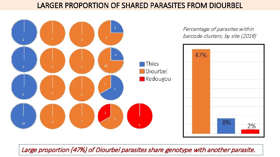 LARGER PROPORTION OF SHARED PARASITES FROM DIOURBEL Percentage of parasites within barcode clusters, by