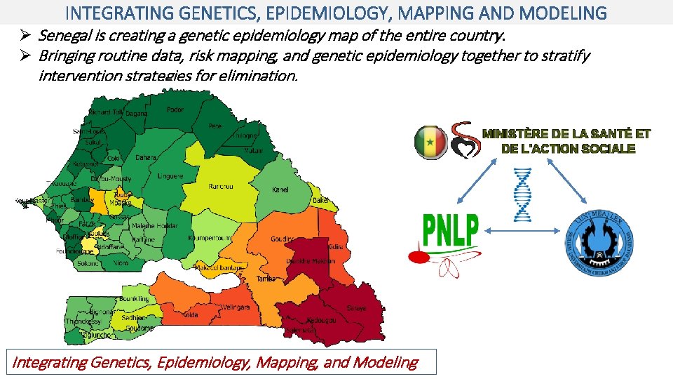 INTEGRATING GENETICS, EPIDEMIOLOGY, MAPPING AND MODELING Ø Senegal is creating a genetic epidemiology map