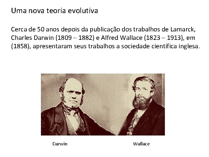 Uma nova teoria evolutiva Cerca de 50 anos depois da publicação dos trabalhos de