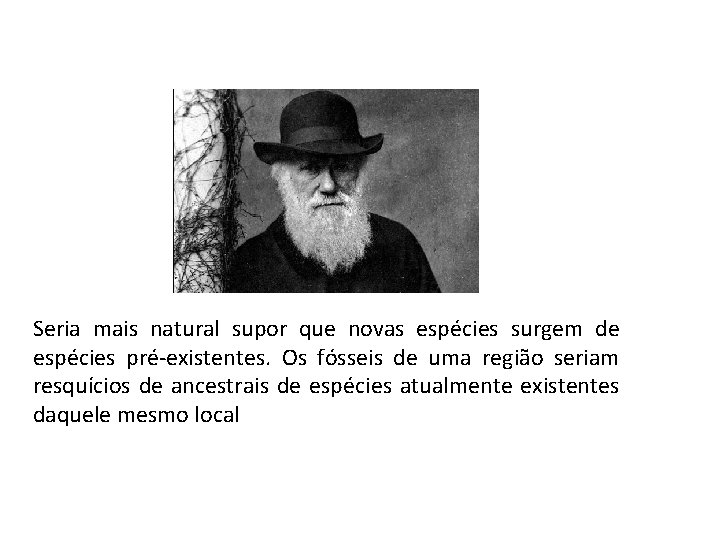 Seria mais natural supor que novas espécies surgem de espécies pré-existentes. Os fósseis de