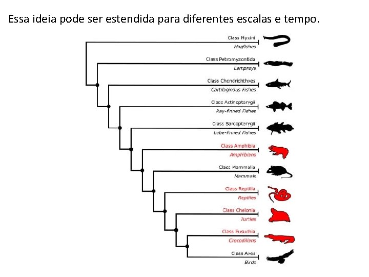 Essa ideia pode ser estendida para diferentes escalas e tempo. 