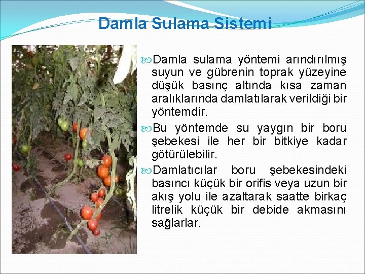  Damla Sulama Sistemi Damla sulama yöntemi arındırılmış suyun ve gübrenin toprak yüzeyine düşük