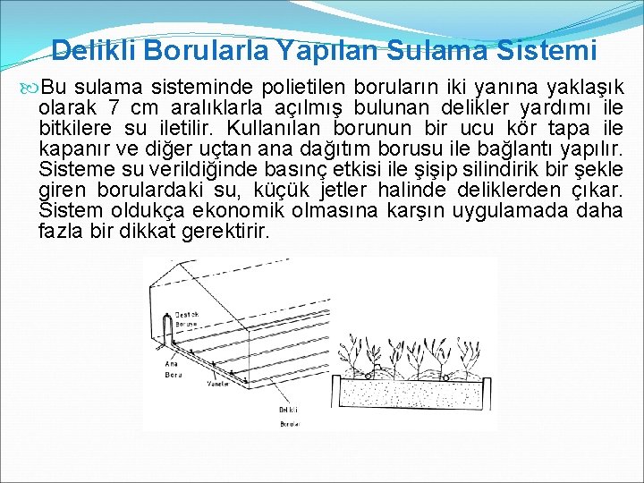 Delikli Borularla Yapılan Sulama Sistemi Bu sulama sisteminde polietilen boruların iki yanına yaklaşık olarak