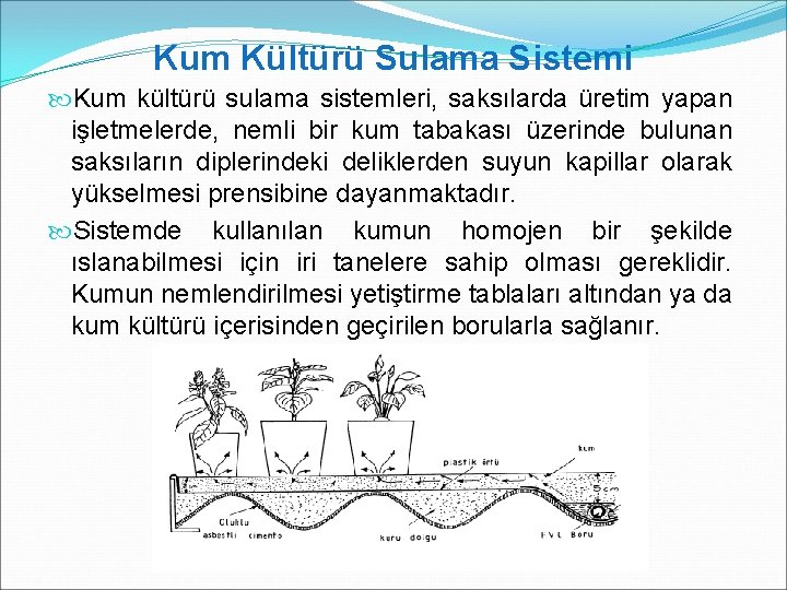 Kum Kültürü Sulama Sistemi Kum kültürü sulama sistemleri, saksılarda üretim yapan işletmelerde, nemli bir