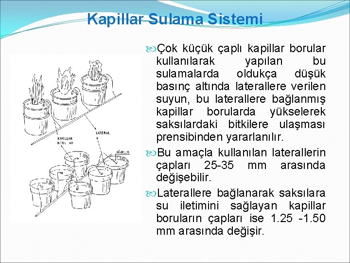 Kapillar Sulama Sistemi Çok küçük çaplı kapillar borular kullanılarak yapılan bu sulamalarda oldukça düşük