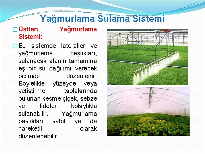 Yağmurlama Sulama Sistemi �Üstten Yağmurlama Sistemi: �Bu sistemde lateraller ve yağmurlama başlıkları, sulanacak alanın