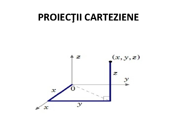 PROIECŢII CARTEZIENE 