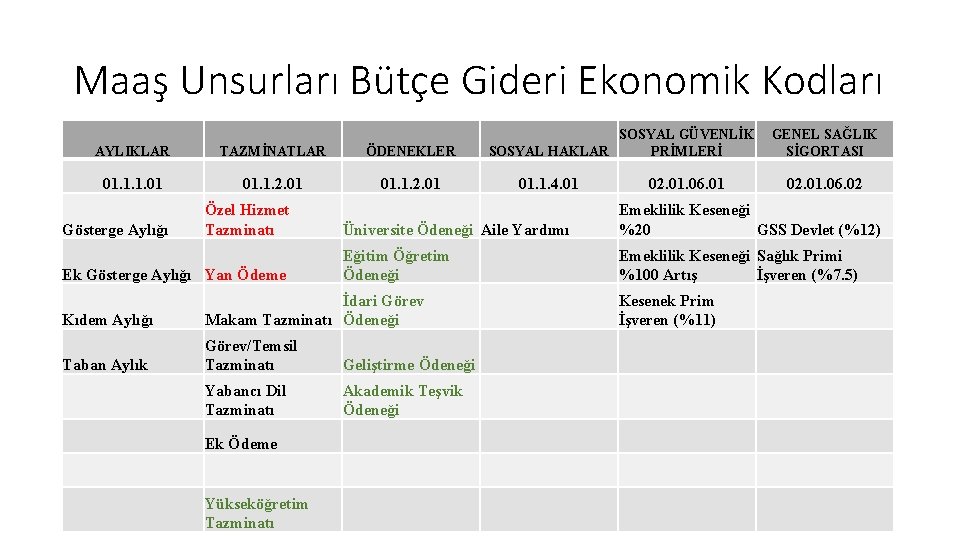 Maaş Unsurları Bütçe Gideri Ekonomik Kodları AYLIKLAR TAZMİNATLAR ÖDENEKLER 01. 1. 1. 01 01. Maaş Unsurları Bütçe Gideri Ekonomik Kodları AYLIKLAR TAZMİNATLAR ÖDENEKLER 01. 1. 1. 01 01.