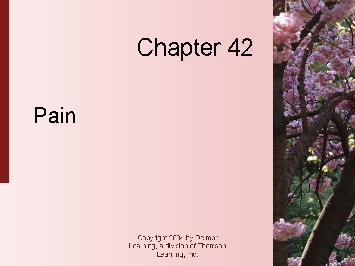 Chapter 42 Pain Copyright 2004 by Delmar Learning, a division of Thomson Learning, Inc.