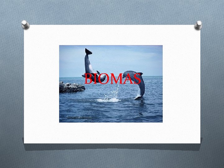 BIOMAS 