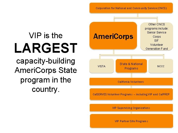 Corporation for National and Community Service (CNCS) VIP is the Ameri. Corps LARGEST capacity-building