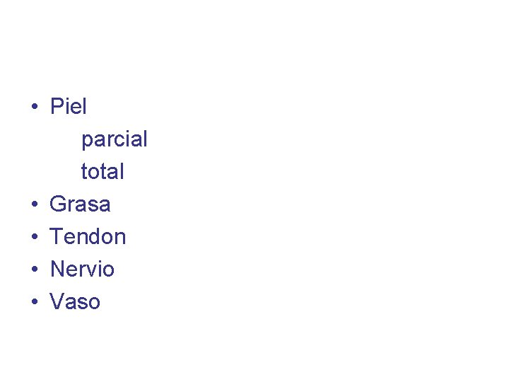  • Piel parcial total • Grasa • Tendon • Nervio • Vaso 