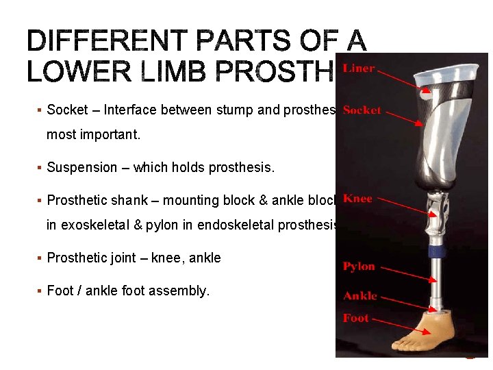 § Socket – Interface between stump and prosthesis- most important. § Suspension – which