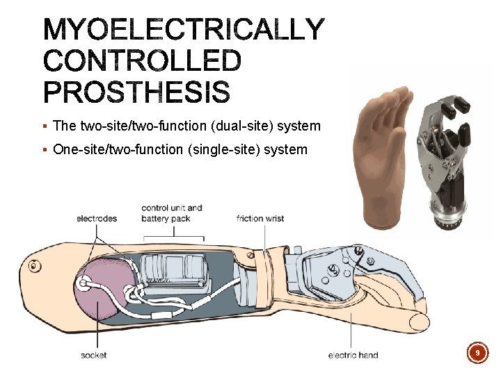 § The two-site/two-function (dual-site) system § One-site/two-function (single-site) system 9 