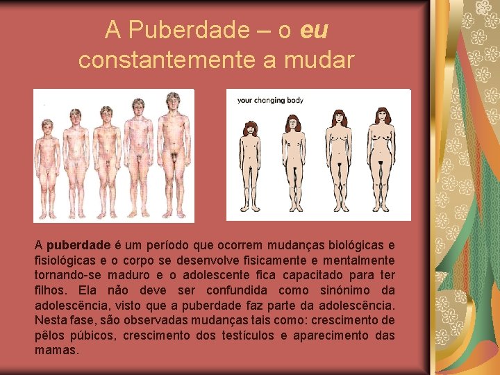 A Puberdade – o eu constantemente a mudar A puberdade é um período que