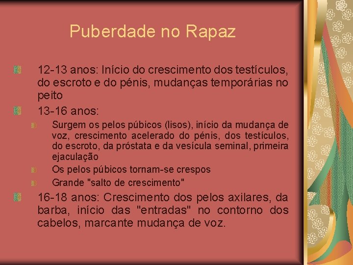 Puberdade no Rapaz 12 -13 anos: Início do crescimento dos testículos, do escroto e