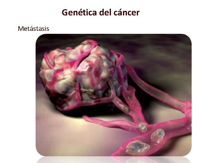 Genética del cáncer Metástasis 