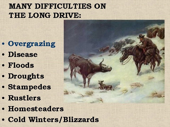 MANY DIFFICULTIES ON THE LONG DRIVE: • • Overgrazing Disease Floods Droughts Stampedes Rustlers