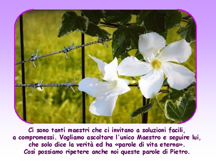 Ci sono tanti maestri che ci invitano a soluzioni facili, a compromessi. Vogliamo ascoltare