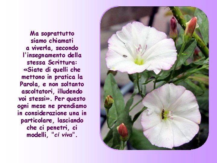 Ma soprattutto siamo chiamati a viverla, secondo l'insegnamento della stessa Scrittura: «Siate di quelli