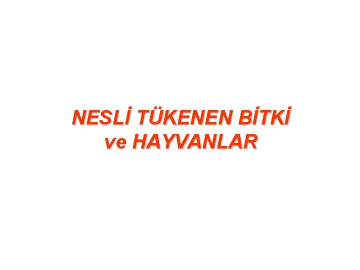 NESLİ TÜKENEN BİTKİ ve HAYVANLAR 