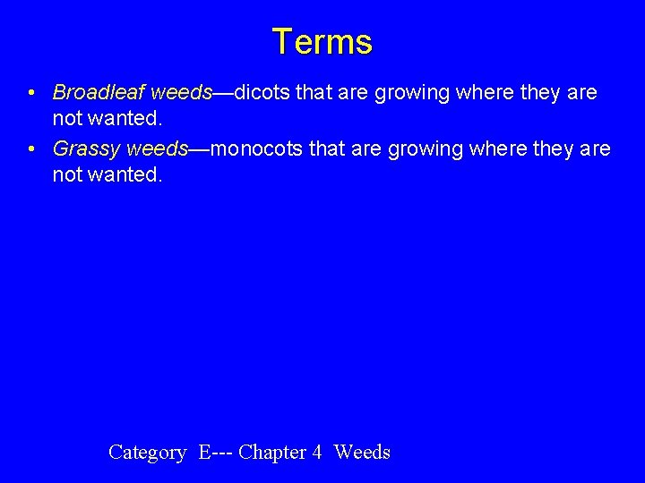 Terms • Broadleaf weeds—dicots that are growing where they are not wanted. • Grassy