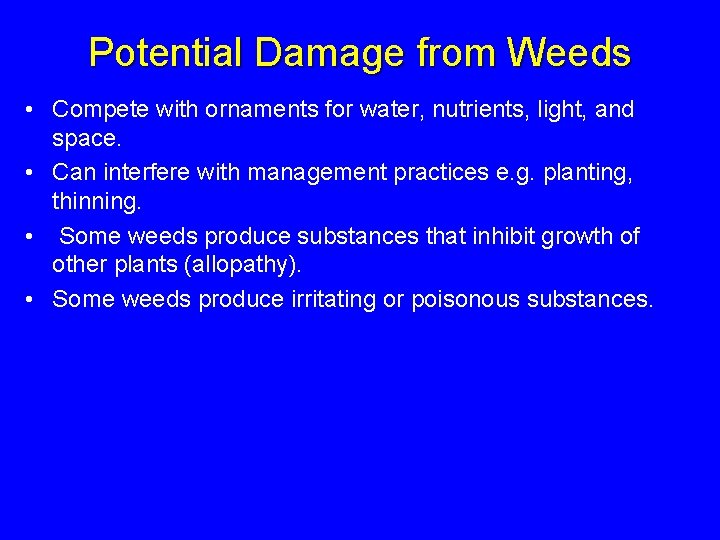 Potential Damage from Weeds • Compete with ornaments for water, nutrients, light, and space.