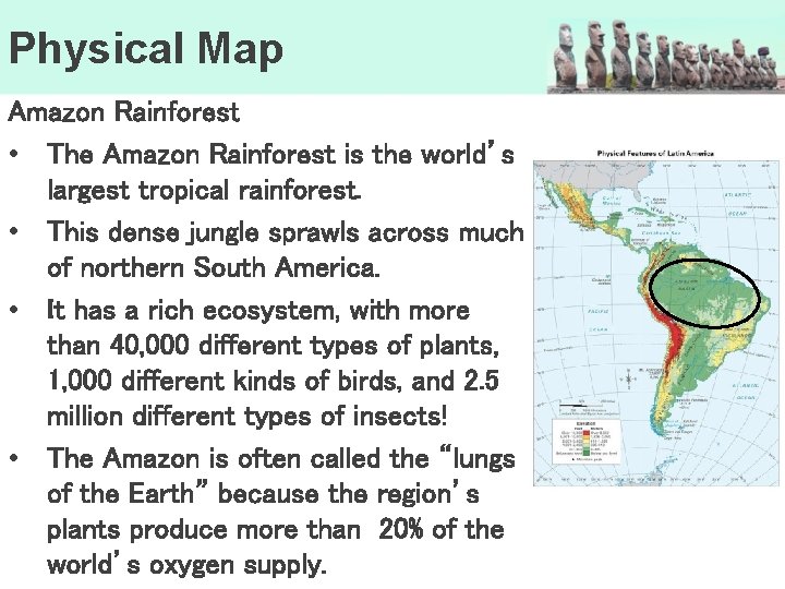Physical Map Amazon Rainforest • The Amazon Rainforest is the world’s largest tropical rainforest.