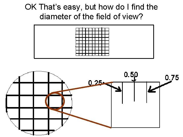 OK That’s easy, but how do I find the diameter of the field of