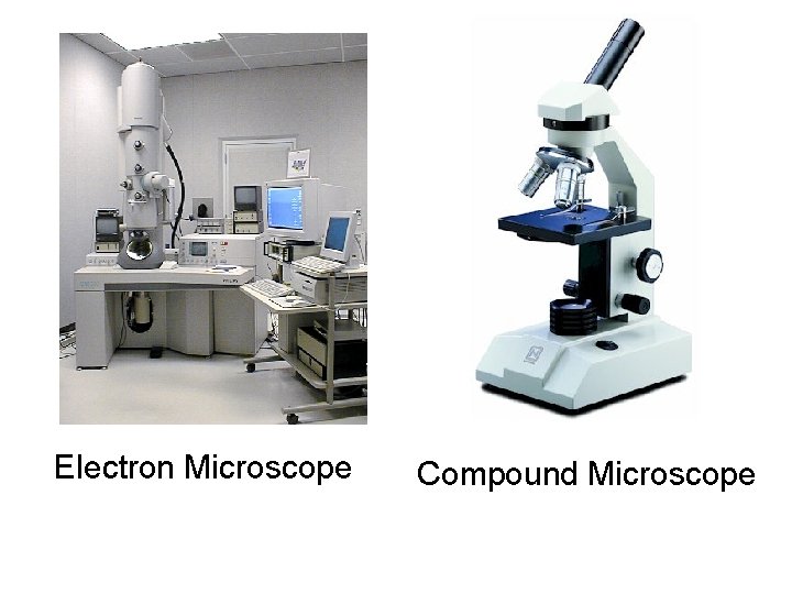 Electron Microscope Compound Microscope 