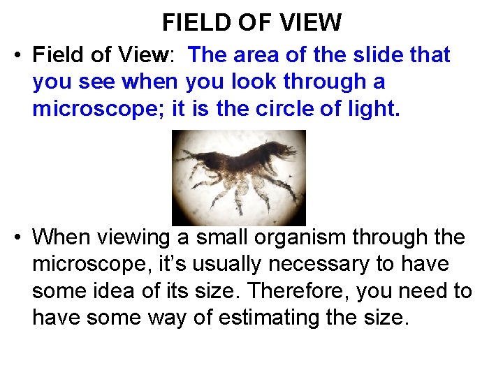 FIELD OF VIEW • Field of View: The area of the slide that you