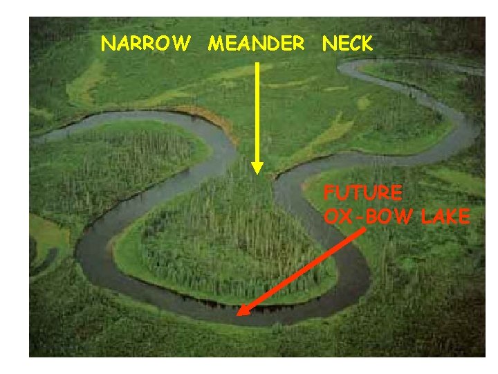 NARROW MEANDER NECK FUTURE OX-BOW LAKE 