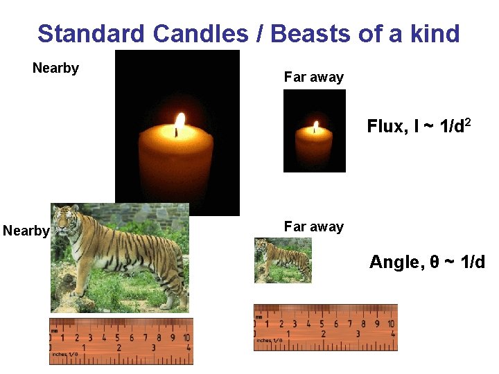 Standard Candles / Beasts of a kind Nearby Far away Flux, I ~ 1/d
