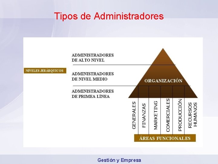Tipos de Administradores Gestión y Empresa 