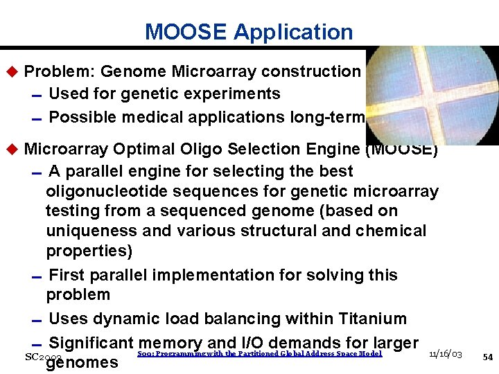 MOOSE Application u Problem: Genome Microarray construction 0 Used for genetic experiments 0 Possible