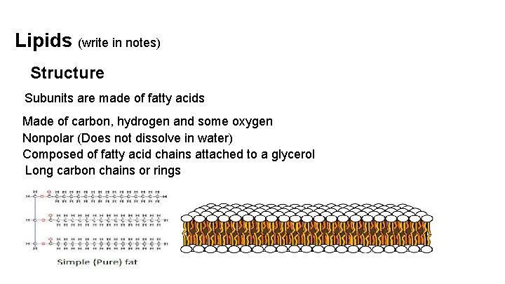 Lipids (write in notes) Structure Subunits are made of fatty acids Made of carbon,