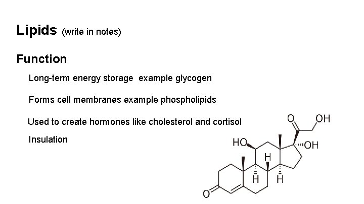 Lipids (write in notes) Function Long-term energy storage example glycogen Forms cell membranes example
