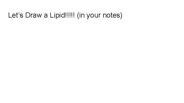 Let’s Draw a Lipid!!!!! (in your notes) 