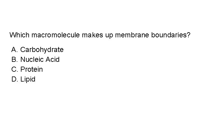 Which macromolecule makes up membrane boundaries? A. Carbohydrate B. Nucleic Acid C. Protein D.