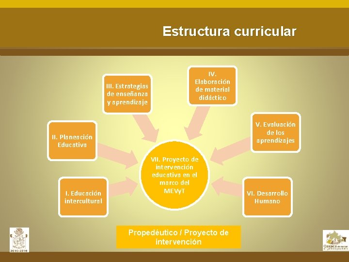 Estructura curricular III. Estrategias de enseñanza y aprendizaje IV. Elaboración de material didáctico V.