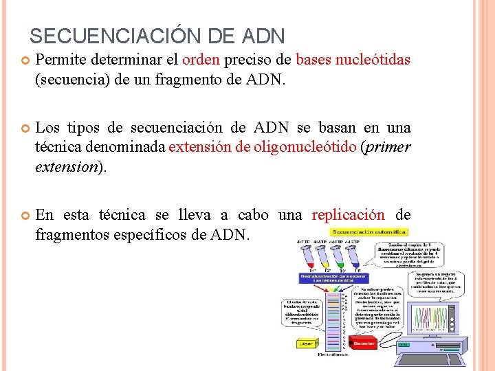 SECUENCIACIÓN DE ADN Permite determinar el orden preciso de bases nucleótidas (secuencia) de un