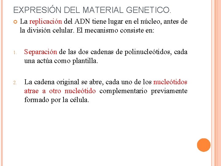 EXPRESIÓN DEL MATERIAL GENETICO. La replicación del ADN tiene lugar en el núcleo, antes