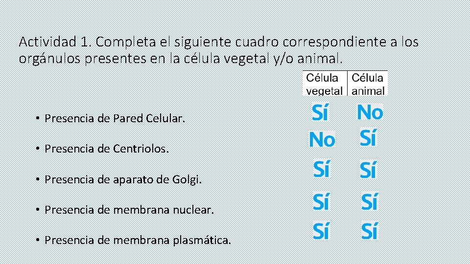 Actividad 1. Completa el siguiente cuadro correspondiente a los orgánulos presentes en la célula