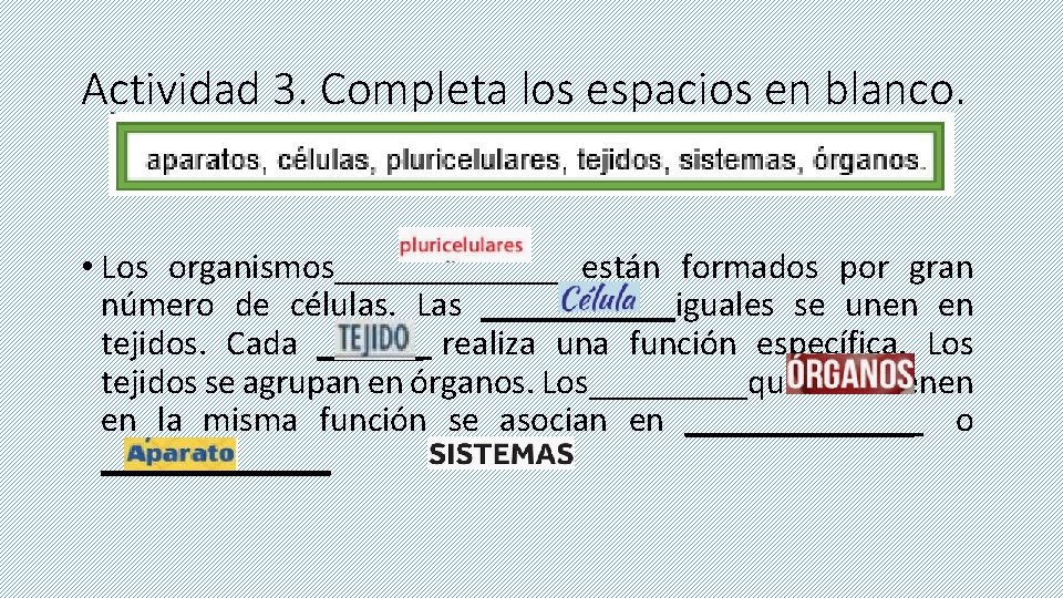 Actividad 3. Completa los espacios en blanco. • Los organismos_______están formados por gran número