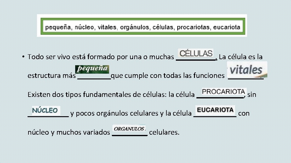  • Todo ser vivo está formado por una o muchas _____. La célula