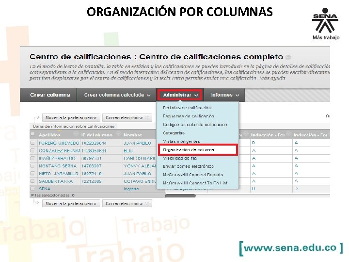 ORGANIZACIÓN POR COLUMNAS 